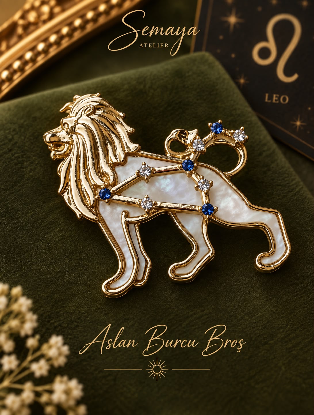 ASLAN BURCU BROŞ